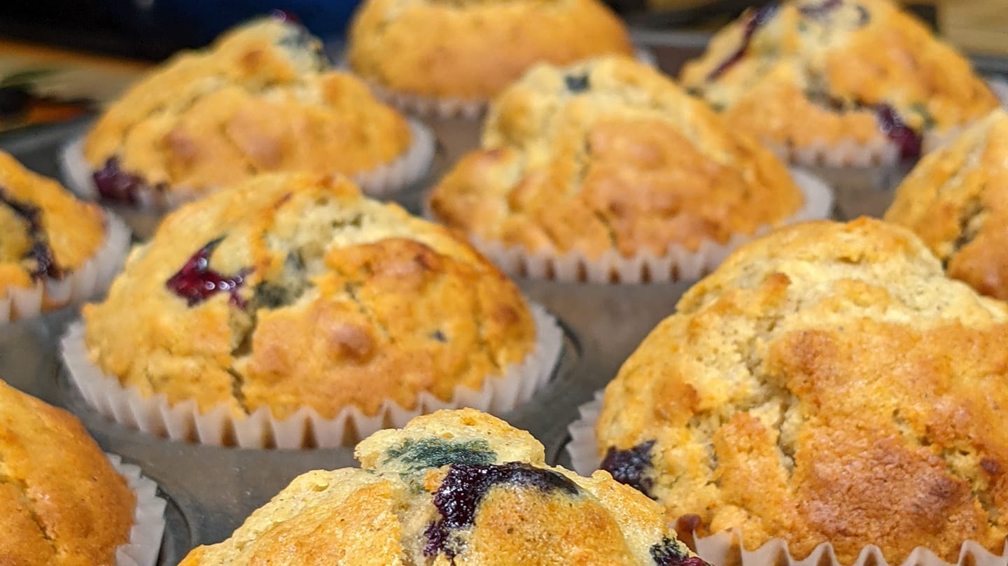 Blueberry muffins golden brown in a muffin tin fresh from the oven